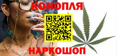 мяу мяу мука Малгобек