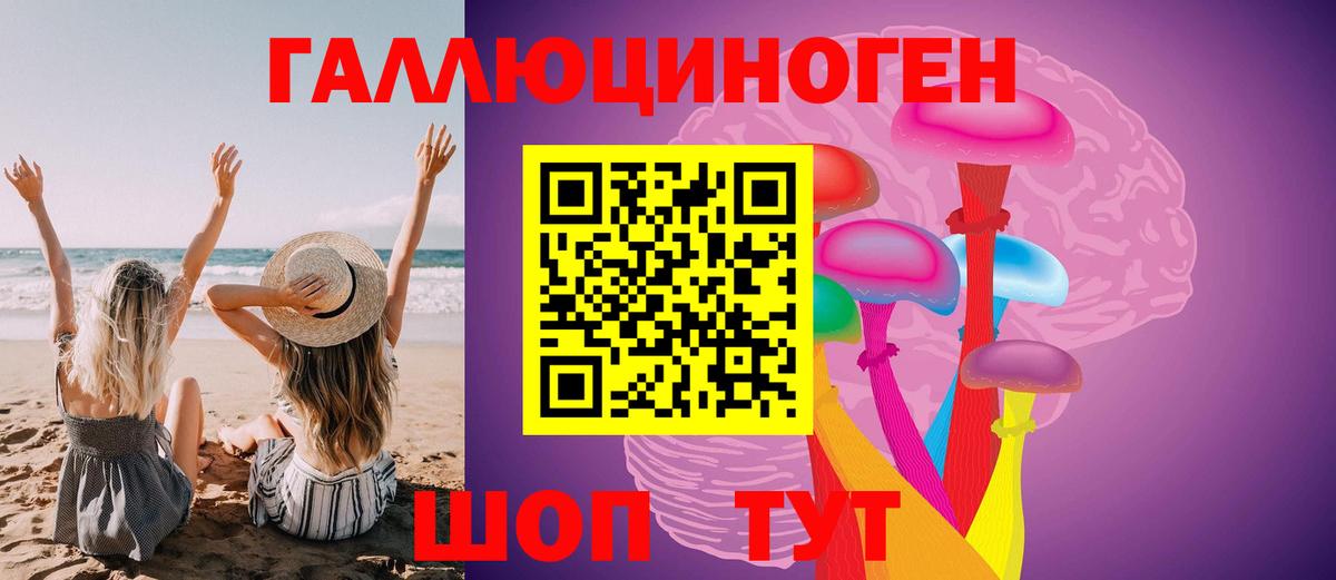 Уварово  Галлюциногенные грибы Cubensis  Вход с VPN 